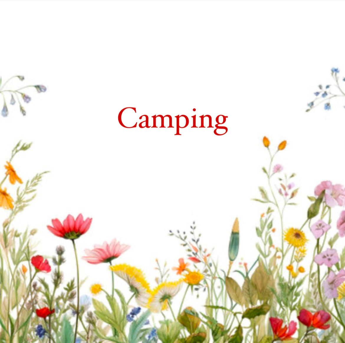 Shop all Camping