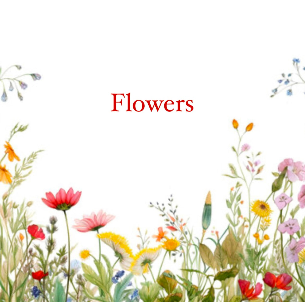 Shop all Flowers