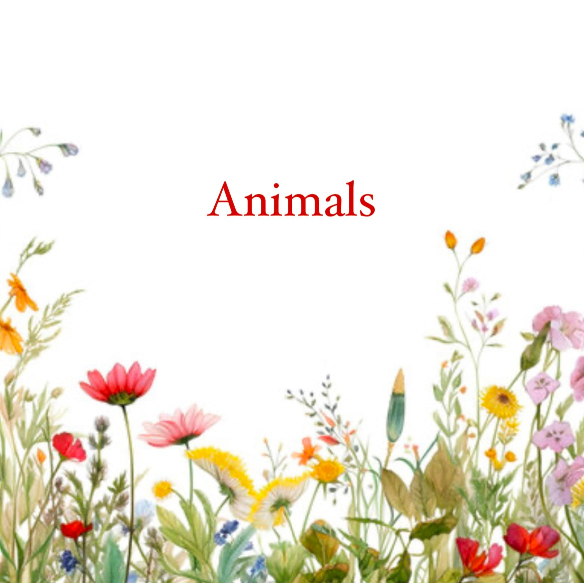 Shop all Animals