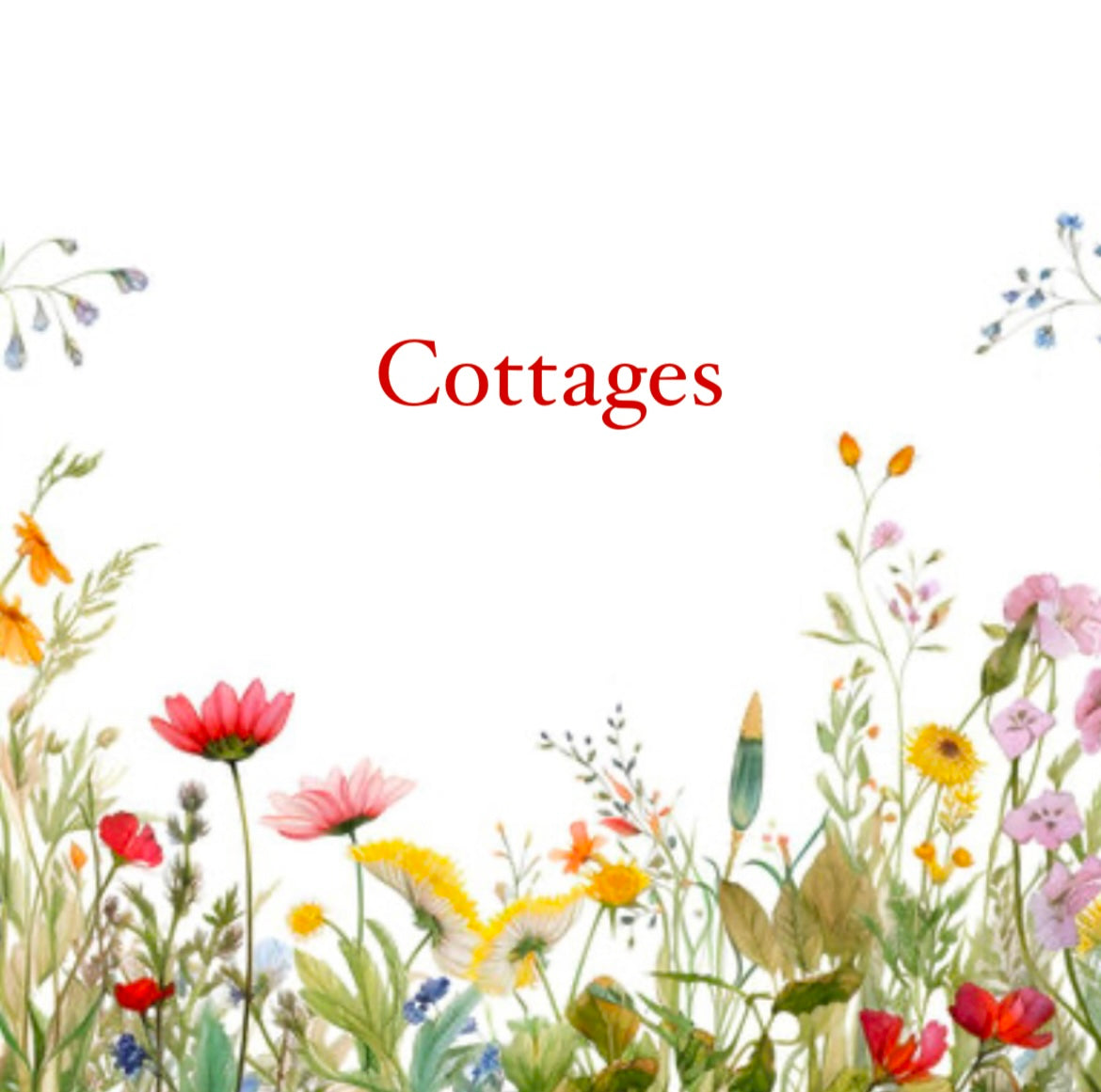 Shop all Cottages